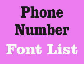Auto Racing Number